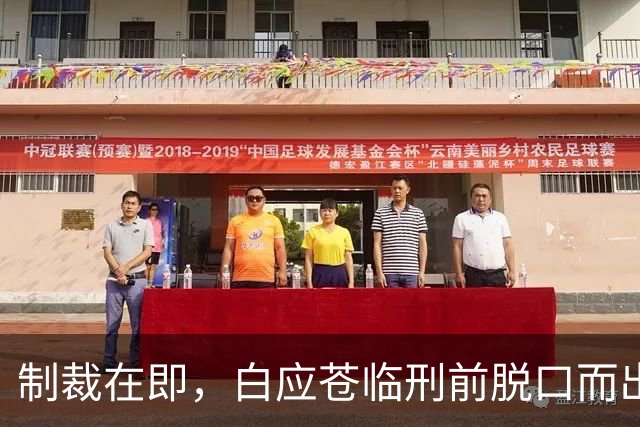 制裁在即，白应苍临刑前脱口而出的无奈与他姐姐的潜逃真相